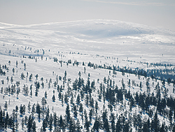 Snowy landscape in Lapland