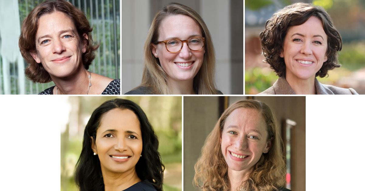 Amanda Frost, Juliet Hatchett, Kelly Orians, Elizabeth Rowe, Alison Gocke