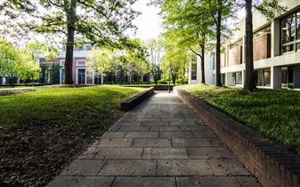 Path at UVA Law School
