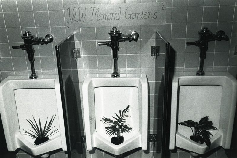 The bathroom “garden”