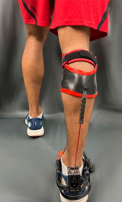 Ankle exoskeleton