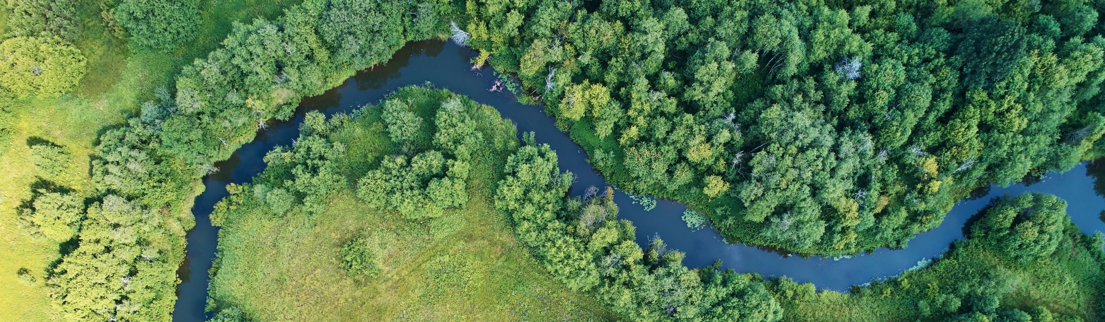 Aerial Photo of Stream