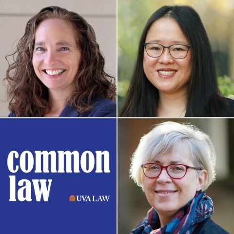 Risa Goluboff, Cathy Hwang and Kim Krawiec