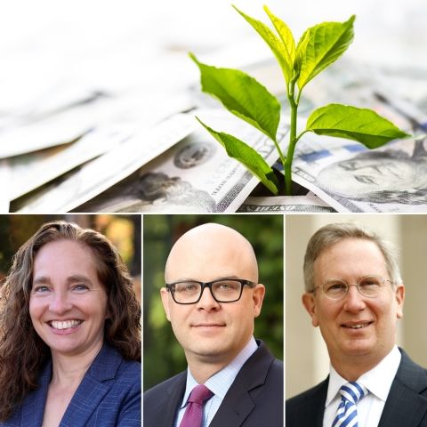 Risa Goluboff, Quinn Curtis and Paul Mahoney with an image of a tree growing among money