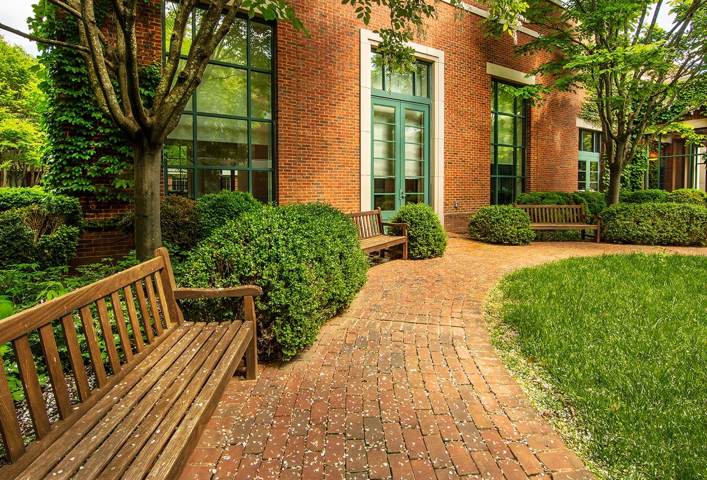 UVA Law patio