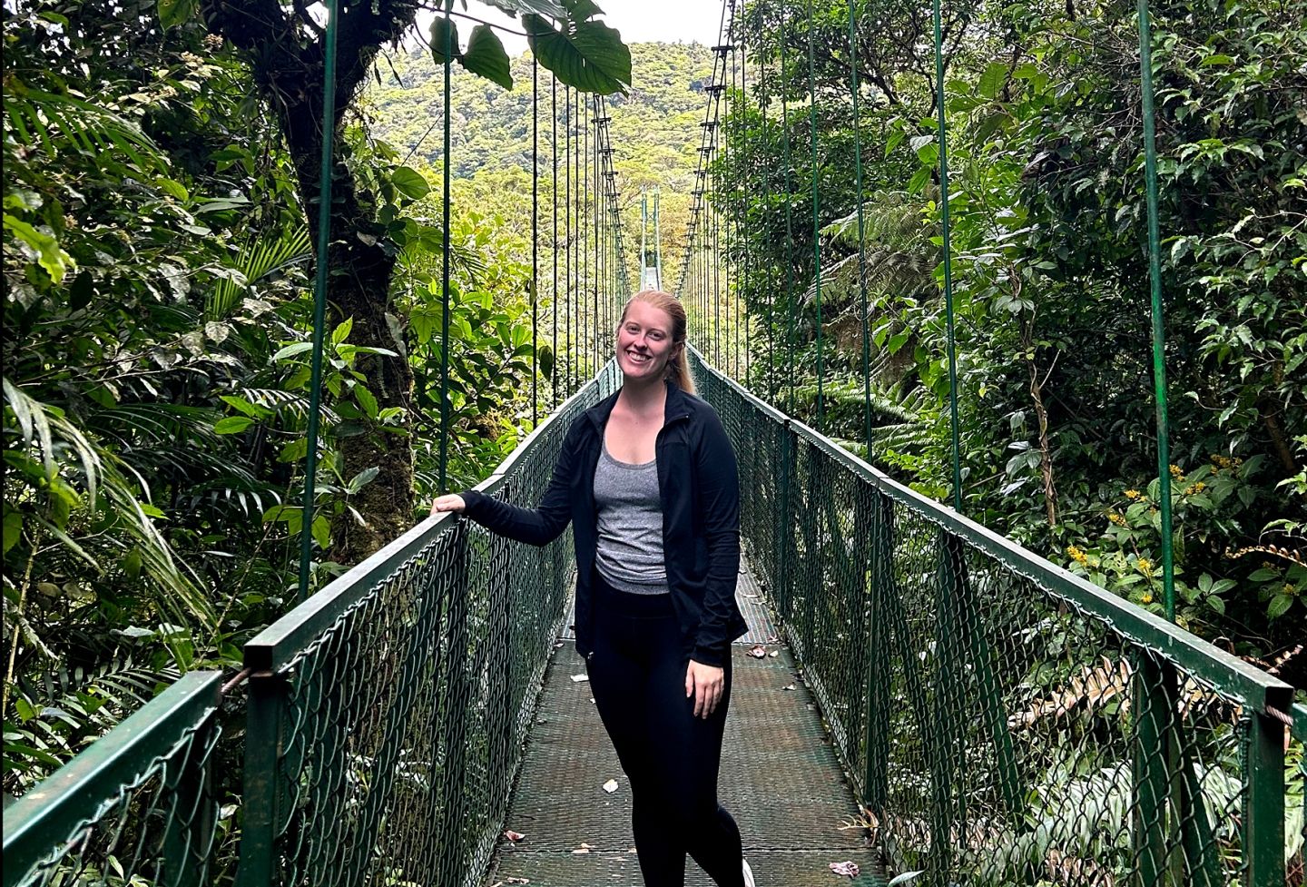 Hanging bridges at Monteverde