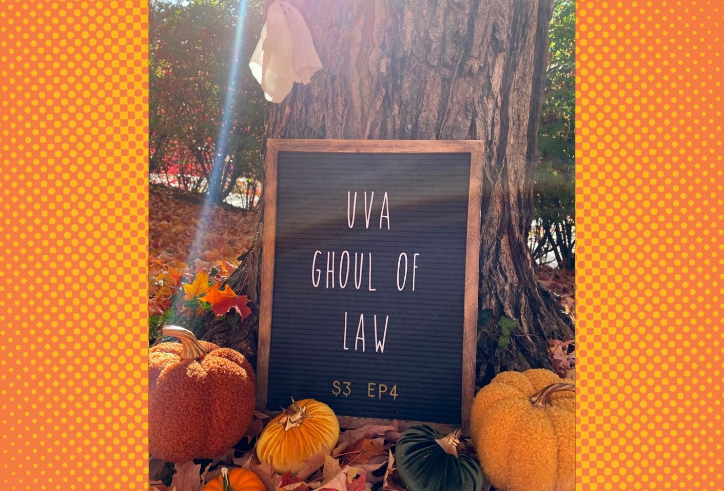 UVA Ghoul of Law
