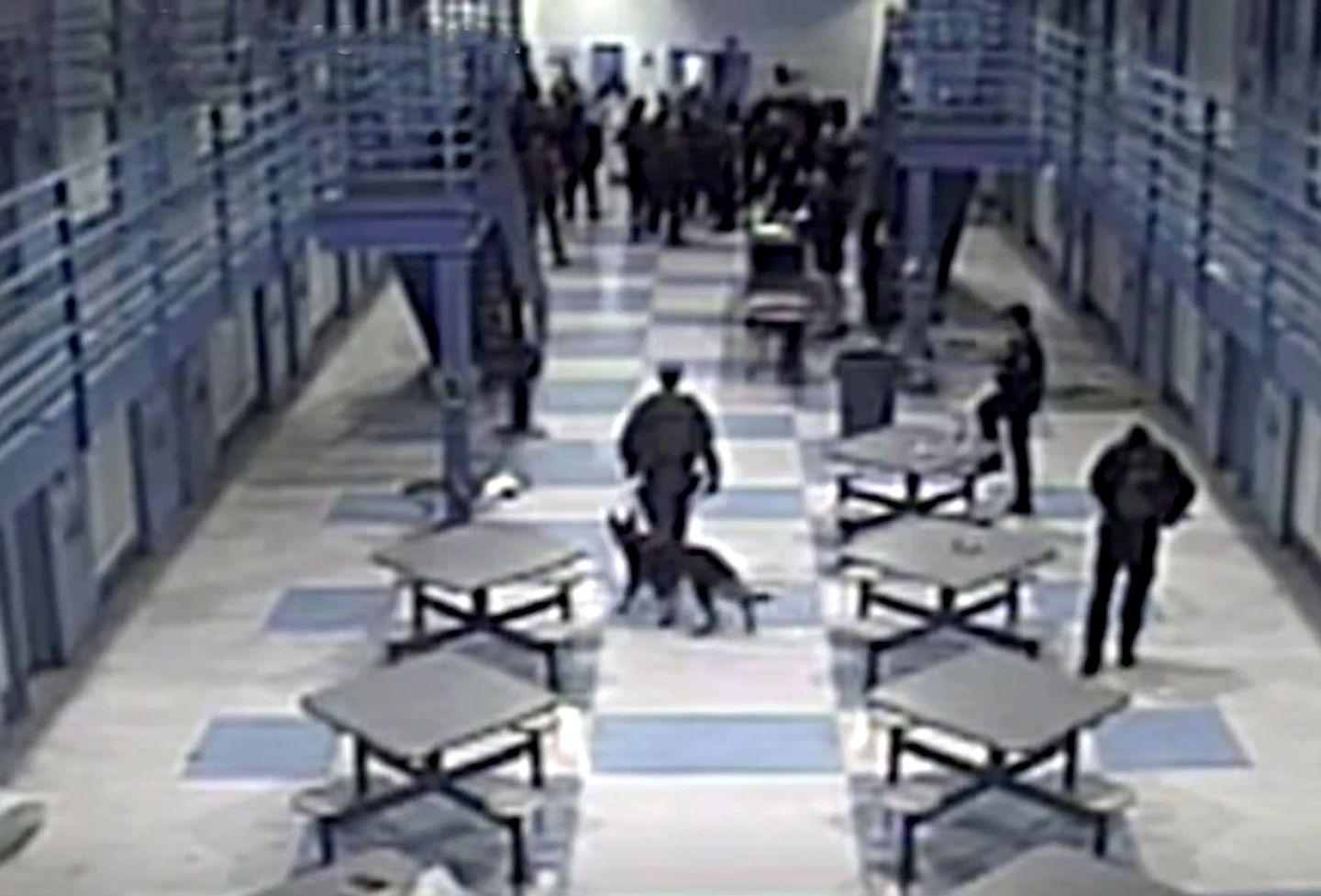 Still frame from a Business Insider documentary shows a corrections officer using a dog in a prison