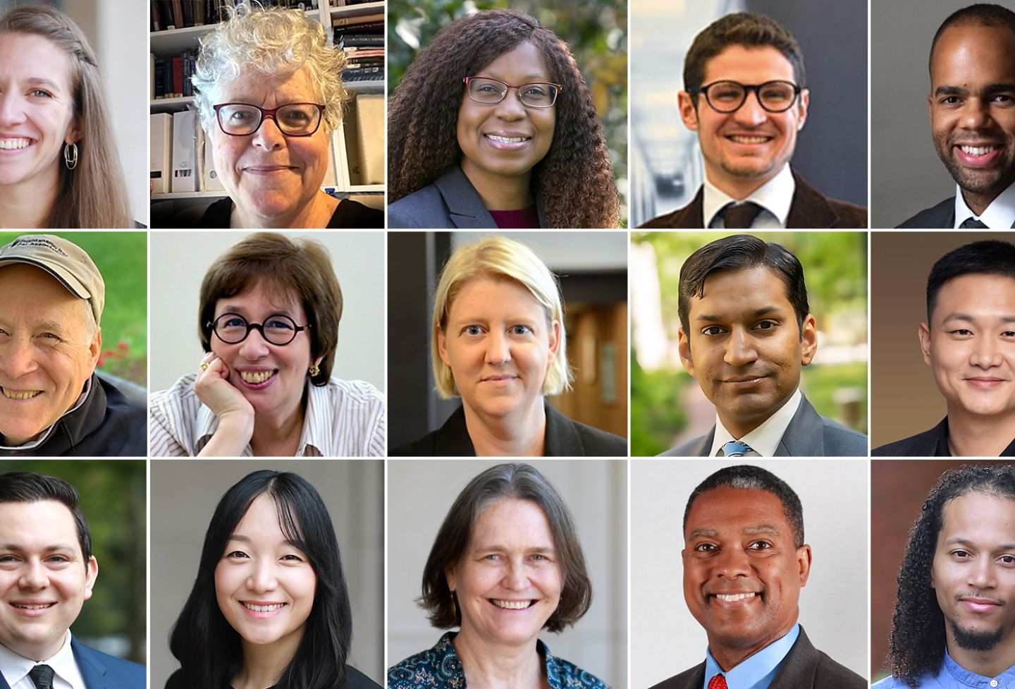 New faculty at UVA Law School