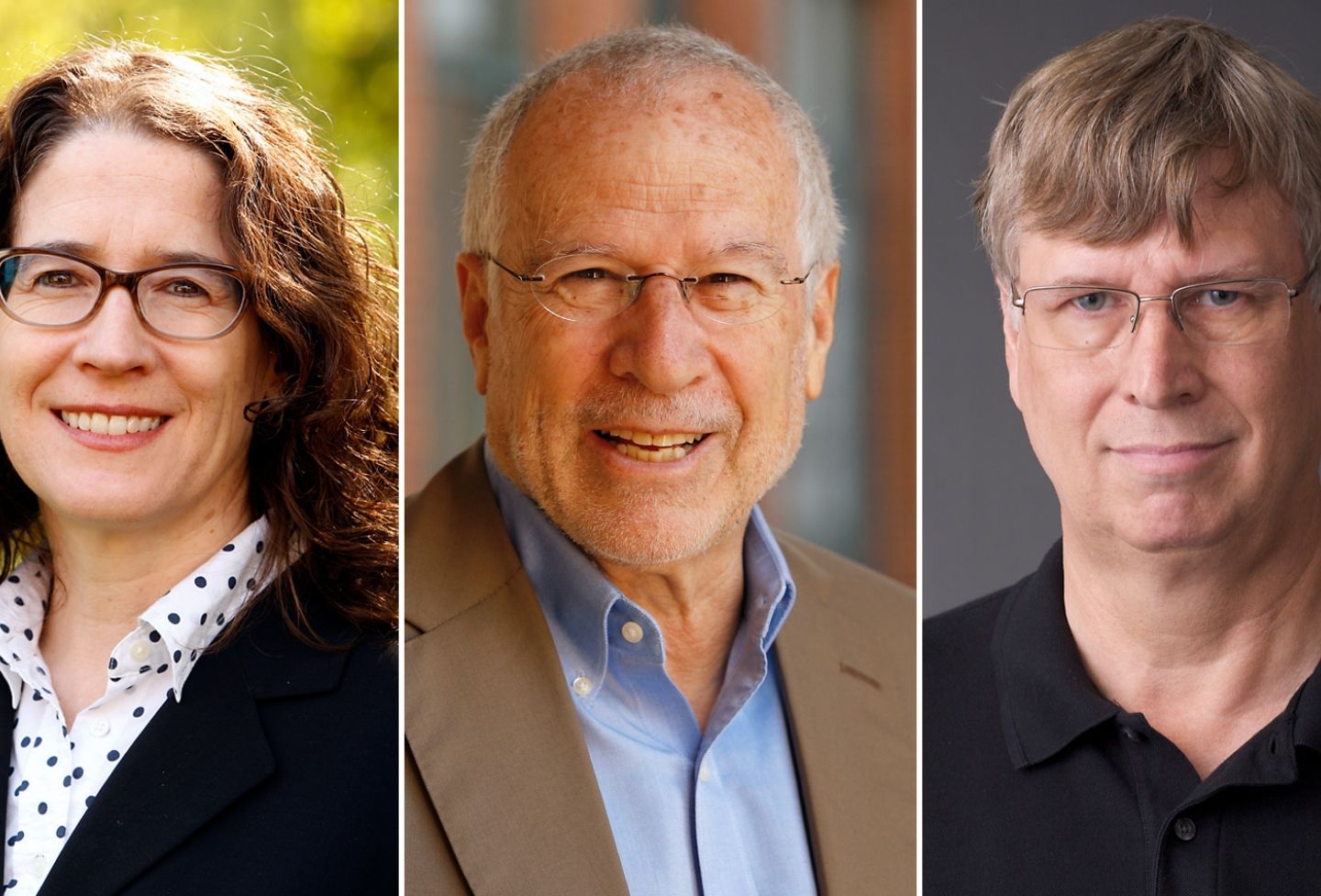 Professors Deborah Hellman, Frederick Schauer and Lawrence Solum. 