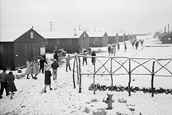 Japanese-American camp