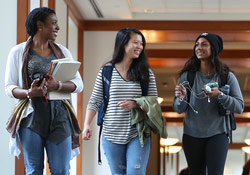 UVA Law students